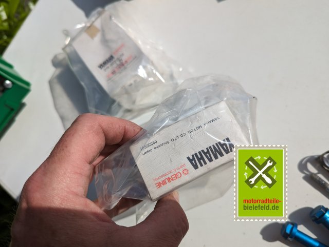 PXL_20240527_150513739